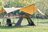 広げるだけで「日よけ＆プライベート空間」が作れるポップアップテント「EASE POP TENT」収納や持ち運びもしやすい【WAQ】の画像001