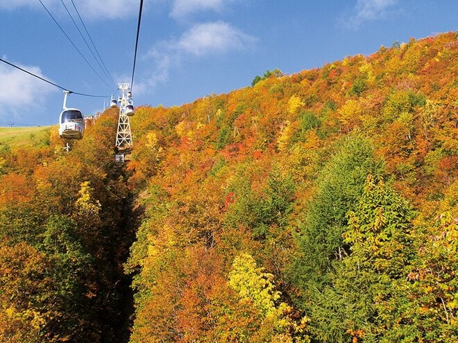 「八方アルペンライン」 ゴンドラ、リフトを乗り継ぎ白馬三山が迫る壮大な山岳世界へ【紅葉フォトトレッキングガイド vol.4】長野県・白馬エリアの画像002