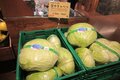 「HAKUBA VALLEY」 “春スキー” の行き帰りに！ 3つの村の「道の駅」の魅力と特徴、長野名物「おやき」も比較【小川村・小谷村・白馬村】の画像010