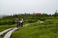 【山形県米沢市・天元台高原】吾妻連峰の百名山「西吾妻山」は ”天空のお花の宝庫”　入山には「天元台スキー場」のロープウェイ利用が最適！の画像010
