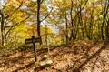 【紅葉登山】「山頂までわずか15分！」 雲海の名所“小熊山”で森歩き＆新雪眩しい北アルプスの山稜を望む“黒沢高原”へ  長野県大町市・2023年の画像008