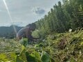 「田舎の仕事探し事情」移住者の実体験をお伝えします【耕して、焙煎して、走る男　人口2,800人の村に移住してみました vol.3】の画像011