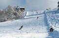 「待っていました！」 雪不足から一変！ クリスマス寒波で待望のスキー場オープン 【斑尾高原スキー場】長野県飯山市・2023年12月23日の画像003