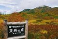 カラフルな「紅葉登山」旅！「 写活ハイク」で火打山の魅力を満喫【2021年・秋】山歩きインスタグラマーhykemika-yの画像005