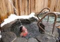 【サウナの聖地体験レポ】お笑いタレントの原田泰造や俳優の磯村勇斗も入った長野県野尻湖畔のサウナ「The Sauna」が本場フィンランド仕様だったの画像008