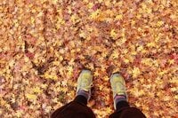 こんな秋キャンプはイヤだ！  紅葉が見頃＆過ごしやすい気候でも起きる「地獄エピソード」実体験で学んだ対策5選