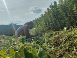 「田舎の仕事探し事情」移住者の実体験をお伝えします【耕して、焙煎して、走る男　人口2,800人の村に移住してみました vol.3】