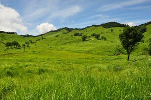 新選組副長・土方歳三の生涯を描いたV6岡田准一主演映画『燃えよ剣』ロケ地、全国1位の卵を使った絶品「卵かけご飯」が味わえる全国区の観光地・兵庫県神崎郡とは