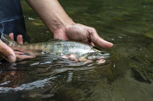 「意外と接待に使える！？ いえいえ親睦を深めているだけです」友情を育む【渓流釣り】の方法論