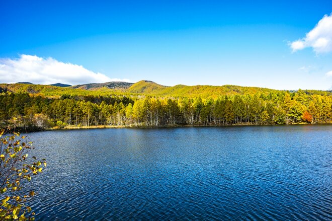 【長野県佐久穂町】八千穂レイクに映る紅葉と秋空のリフレクション！「没入感が半端ない、水辺の絶景」 2025年の画像002