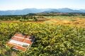 【登山】そこは、まるで天上の楽園！  “秋空を映す水鏡、黄金色の高層湿原になだらかに続く木道”  彩り鮮やかな原生林「苗場山」 長野県｜新潟県 2026年の画像001