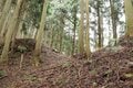 【NHK大河『豊臣兄弟！』ゆかりの城】実にしつこい… 光秀が築いた「丹波 二大山城」のひとつ「丹波国・周山城〈前編〉」（京都府京都市）【戦国の山城を攻める vol.09】の画像010