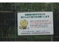 【アウトドア豆知識】＜梨の生産量の第3位は栃木で、第2位は茨城…気になる第1位は？＞「今が旬のフルーツ」美味しい“梨”は品種で選ぶのが近道です！の画像011