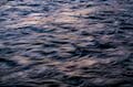 【渓流釣り】薫風のフライフィッシング！「ライズないな〜」 飛び交う虫たちにドキドキしつつ水面を見守った夕べ　長野県｜2026年の画像006