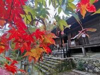 「京都のとなり」の静かな紅葉名所「丹波篠山もみじ三山」寺めぐり！  11月30日までの絶景「古刹の優美」現地レポ
