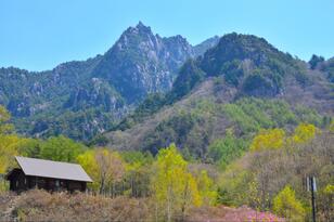 今夏も使える？ 「予約なしキャンプ場」大型フリーサイト「100張＆全長2km」関東2選！ ライターの連休「成功体験」レポ