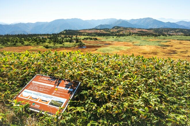 【登山】そこは、まるで天上の楽園！  “秋空を映す水鏡、黄金色の高層湿原になだらかに続く木道”  彩り鮮やかな原生林「苗場山」 長野県｜新潟県 2026年の画像001