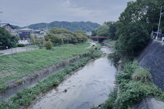 素っ気なさと歴史のコントラストが心地いい世界遺産！  1300年の古都「平城宮跡」自転車で走ってみた！  なんと中には線路も通っていて…【ゆる6輪の旅 vol.02 奈良「平城宮跡歴史公園」】の画像020