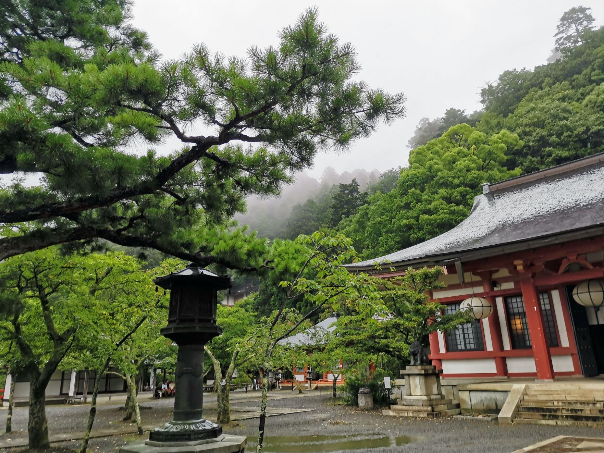 雨の日だけの絶景！ 霧けぶる幻想「鞍馬寺」独り占め登山＆人気パワースポット「京都・貴船神社」散策レポ｜トラベル｜ニュース｜BRAVO MOUNTAIN