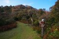 ”元日にダイヤモンド富士” を見られるスポット！  一年の計は「絶景富士見ハイク」にあり＜竜ヶ岳＆猫越岳 後編＞【今日も山旅気分 vol.13】の画像003