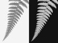 草むしりと小さな発見【自然と写真を楽しむ日々 vol.1】の画像001