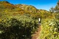 【登山】“滝雲”の名所、枝折峠！  遥かなる稜線を辿る紅葉の百名山「越後駒ヶ岳」へ   新潟県 2026年の画像001