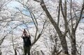 【こんな贅沢な山は他にない！】お花見ハイキングの名所「光城山」のお出かけ前に押さえるべきポイント解説の画像005