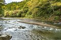 【冬季釣り場】日本一の清流・神流川 「群馬県が誇るブランドニジマス “ハコスチ”」苦戦したけどなんとか釣れた！ 「目からウロコの当たりフライ！」とはの画像001