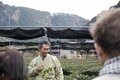 フランス人茶商ステファン・ダントンがお茶の聖地で日本茶のルーツを探り、茶問屋でブランド茶を試飲！ 最後は静岡おでんとこだわり緑茶ハイで旅をふり返る【静岡県・静岡市】の画像008