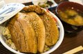 “梅雨どきにもオススメ”の THE 信州！ 八千穂高原の「日本一美しい白樺群生地」 レンゲツツジが見頃です！【2023年・長野県佐久穂町】の画像025