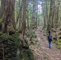 「気軽に、気持ちよく、楽しく歩く」 ゴールデンウィークは「フラット登山」を楽しもう！  日本最強の異世界「富士山 青木ヶ原樹海をくぐり抜ける」【後編】