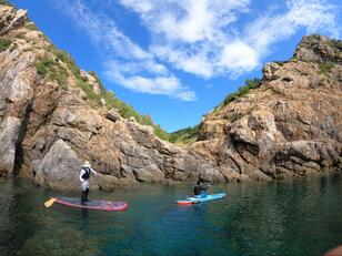 「日本のエーゲ海」白崎海岸でダイビングやSUP！「伊勢海老・熊野牛・しらす丼」のグルメも満載！  和歌山県有田・日高が「夏の旅」に最適な理由