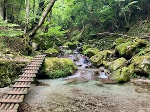 【残暑にこそ登りたい！】都心から約1時間半。涼しい沢風に吹かれて「西丹沢・畦ヶ丸」を歩く