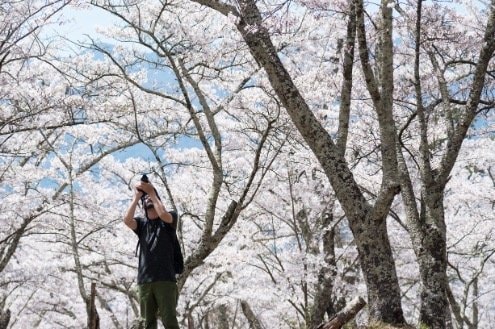 【こんな贅沢な山は他にない！】お花見ハイキングの名所「光城山」のお出かけ前に押さえるべきポイント解説の画像005