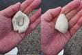 体長80cmは「まだ小さいほう！」中国原産の巨大淡水魚「ハクレン」埼玉県・荒川で「釣行5時間」ビッグゲームの結果とは！？の画像001
