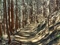 その名の通りの絶景スポット「関八州見晴台」からのパノラマ展望！ 「高山不動ハイキングコース」で新年の初詣にもピッタリ！【埼玉県飯能市】の画像003