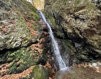 都心から出かける「週末の秋ハイキング」に最適「御岳山」 山頂＆ロックガーデンの紅葉絶景！  下山後は温泉でさっぱり！  “駅登山”レポート