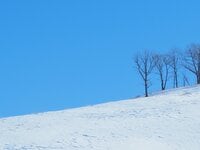 「これぞ冬の道東！」結氷した湖上も歩く！ スノーシュートレッキング【北海道・厳冬の釧路湿原レポート（2）シラルトロ湖】