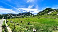 初めての日本アルプス体験！  イタリア人が感動した立山黒部アルペンルートの魅力（前編）【ブーツの国の街角で vol.30】