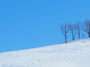 「これぞ冬の道東！」結氷した湖上も歩く！ スノーシュートレッキング【北海道・厳冬の釧路湿原レポート（2）シラルトロ湖】