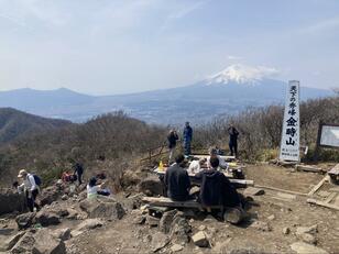 富士山の絶景＆箱根を一望！  最短ルートで目指す「金時山」春ハイキング「山頂レポ」