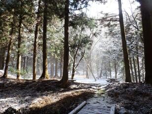 『ゲゲゲの鬼太郎』水木しげる氏と妖怪、“丹波の鬼” 特訓の地、明智光秀… 往復1時間でもエピソード満載の低山「盃ヶ岳」登山レポ【兵庫県丹波篠山市】