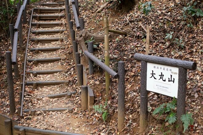 都市部で2時間「駅からハイキング」横浜市金沢区「大丸山」レポ！思わず嬉しくなる“街チカ”とは思えない、豊かな自然＆展望！の画像009