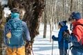 【神社とスキーと日本そば】パワースポット「長野県戸隠」は魅力だらけのオールシーズンリゾートだった！の画像004