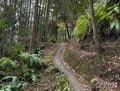【無理なスケジュールを組んでいませんか？】夜のうちに山へ出かけて “まさか” の事故に…リハビリと登山再開までの約半年間でわかったこと「インタビュー」の画像005