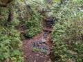 雨の登山道「3つのリスク」事故＆ケガ・体調・遭難「必須アイテム」と「山行リスケ」を決める判断基準とは！？の画像001