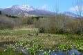 “春の妙高高原”  推しスポットは水芭蕉群生地「いもり池」・ 雪解けで水量爆増「苗名滝」・ 野趣あふれる露天「黄金の湯」【新潟県】の画像001