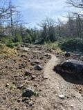 【日本百名山「浅間山」】トーミの頭＆外輪山最高峰「黒斑山」からの絶景！  一度は歩いておきたい、豪快でダイナミックな景観が魅力のコースの画像002