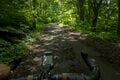 【自転車】気分はヨーロッパ！？  しなの鉄道の「サイクルトレイン」を利用して訪れる “野尻湖・北信濃里山グラベルライド” 「天国と地獄が入り乱れるトレイルの先に、想像以上の絶景が！」 新潟県・長野県｜2026年の画像008