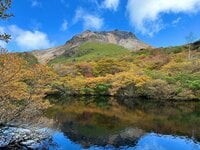 今週末の紅葉見るならどこ？  名所＆人気スポットから最新情報をお届け「WEEKLY紅葉ニュース」【2023年10月第2週】